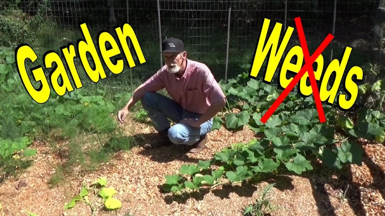 Weed Free Gardening, Deep Mixed Mulch vs Bare Soil