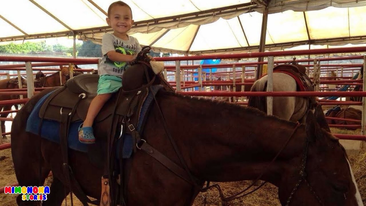 Videos de Caballos Reales para Niños 🐴   Canciones para niños | Mimonona Stories