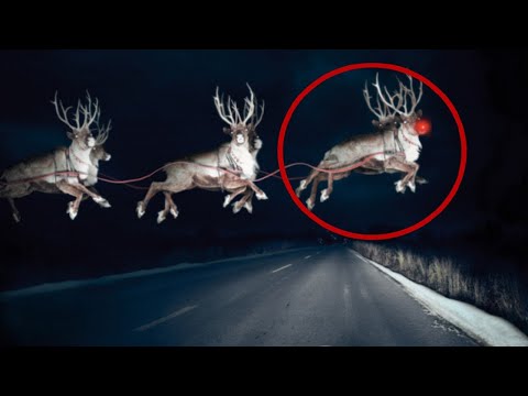5 Rudolph the Red-Nosed Reindeer Caught on Camera and Seen in Real Life