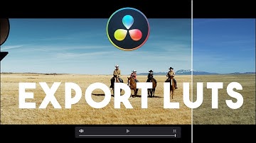 Tips การใช้ Davinci Resolve [เทคนิคที่5] - การ Export LUTs เพื่อเอาไปขายในอินเตอร์เน็ต