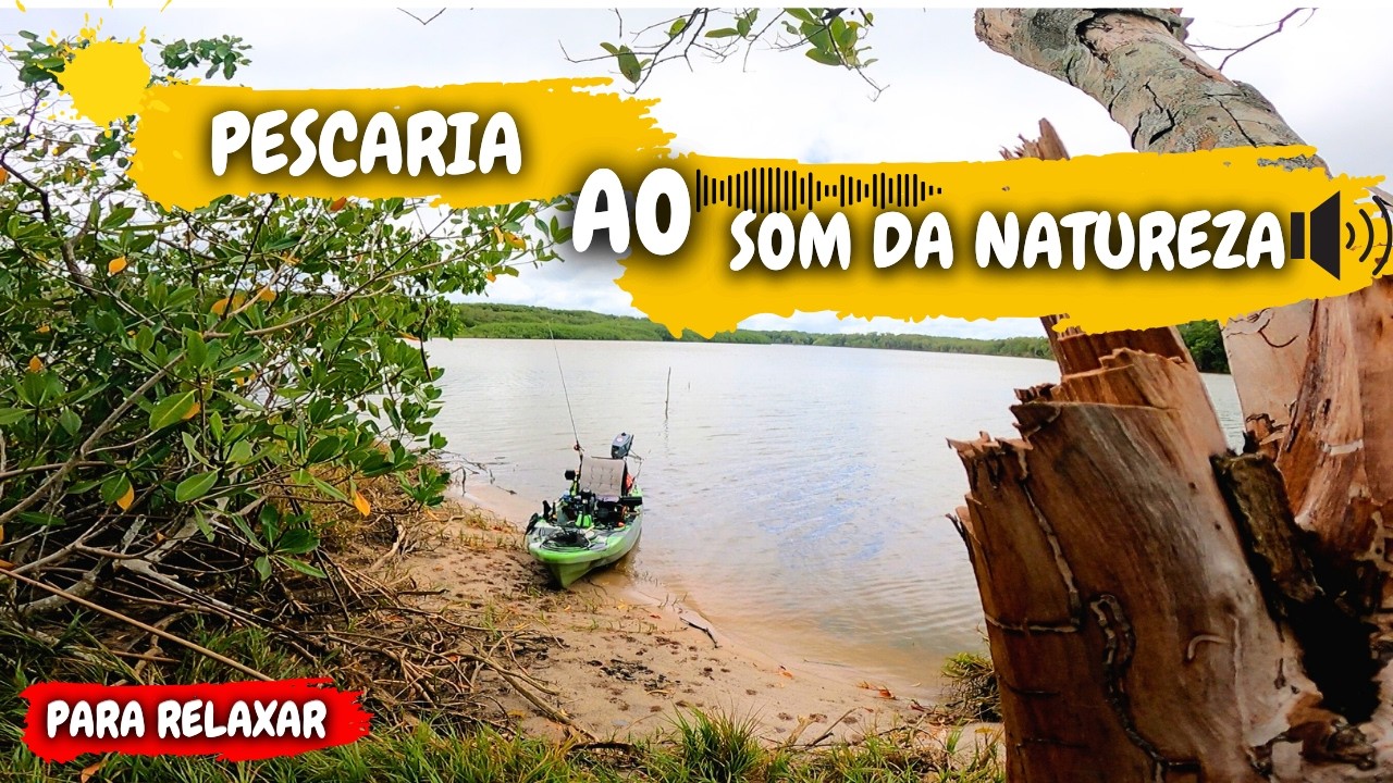 PESCARIA DE ROBALO NO MANGUE COM ISCAS ARTIFICIAIS #asmr