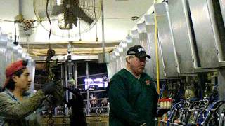 MILK CULTURE ON-FARM 1.AVI