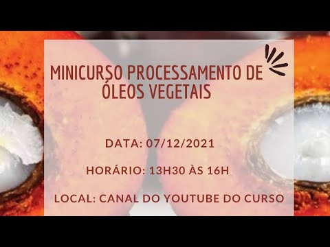 Vídeo: Como ficar mais rico? Como se tornar mais bem-sucedido e mais rico? Como os ricos ficaram ricos: qual é o segredo das pessoas de sucesso