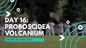 Advent of code 2022 day 16: Proboscidea Volcanium