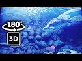 ³ᴰ¹⁸⁰ Relaxing Inside the  Aquarium Ambience with Fish | Tour in Aquarium of São Paulo [4K]