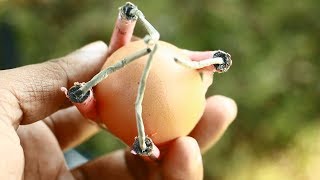 Egg VS Fire Cracker Experiment