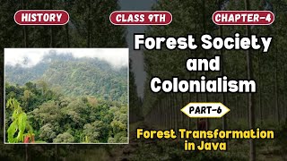 Forest Society & Colonialism | Forest Transformation in Java Part-6 | CBSE Class 9th History Ch-4