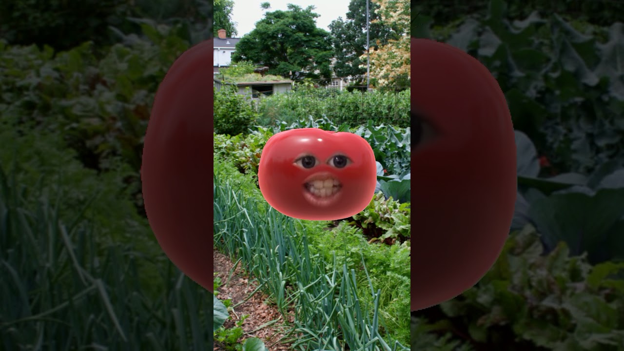 I’m a tomato YouTube