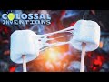 The Evolution of Marshmallows