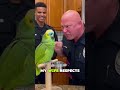 I don't care your wife respects you Parrott Police Officer#shortvideo#youtub