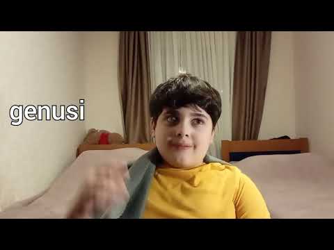 ჩემი ისტორიები