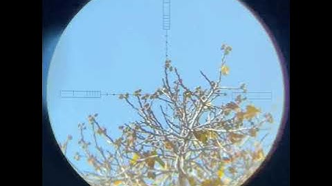 Hunting with FX Impact MK2 Power Plenum