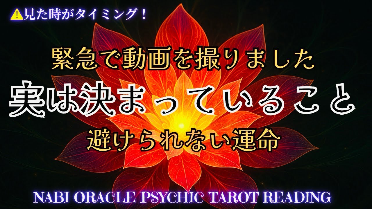 霊能者タロット🌈すごいの出た💦【実は決まっている事】ご自身が天才なことに気づいてますか🤯