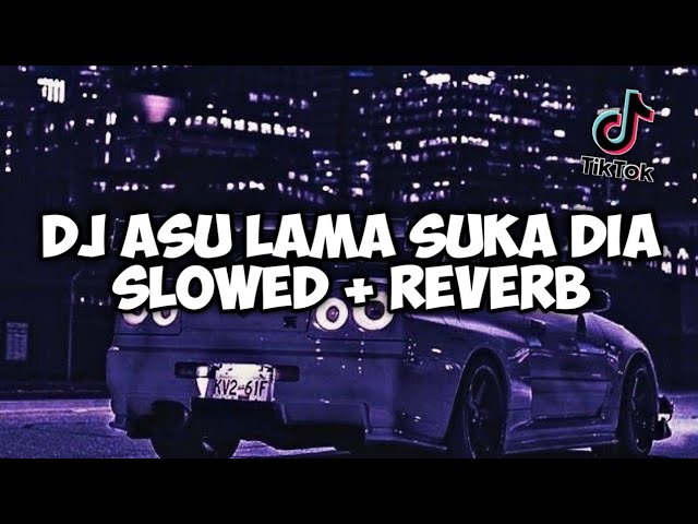 DJ ASU LAMA SUKA DIA SLOWED + REVERB JEDAG JEDUG MENGKENE VIRAL TIKTOK class=