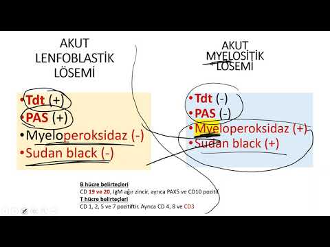 Video: Demirci mesleği: kısa bir açıklama ve tarihçe