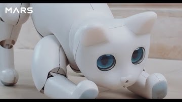The Mars cat - A Bionic cat, a programmable home robot with endless possibilities