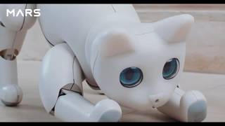 The Mars cat - A Bionic cat, a programmable home robot with endless possibilities