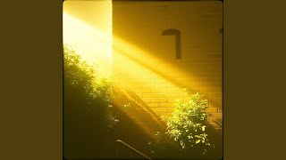 Amber Twilight