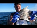 小豆島の漁師はまゆうの1日【ギックリ腰とマナガツオ漁編】