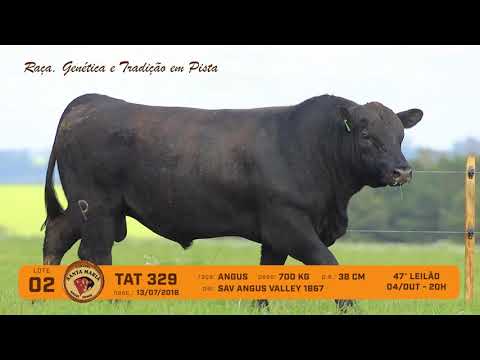 LOTE 02 - TAT 329