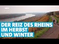 Herbst und Winter am reizvollen Rhein zwischen Mainz und Worms