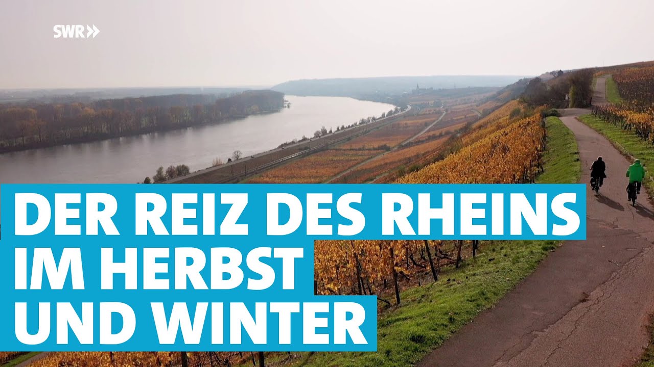 Herbst und Winter am reizvollen Rhein zwischen Mainz und Worms