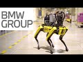 Robot Dog at BMW Group Production Plant Hams Hall