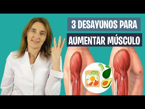 3 DESAYUNOS saludables para AUMENTAR MASA MUSCULAR | Desayuno y masa muscular | Nutrición deportiva