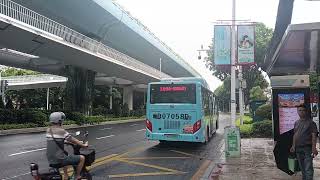 Golden Dragon XML6105JEVJ0CE