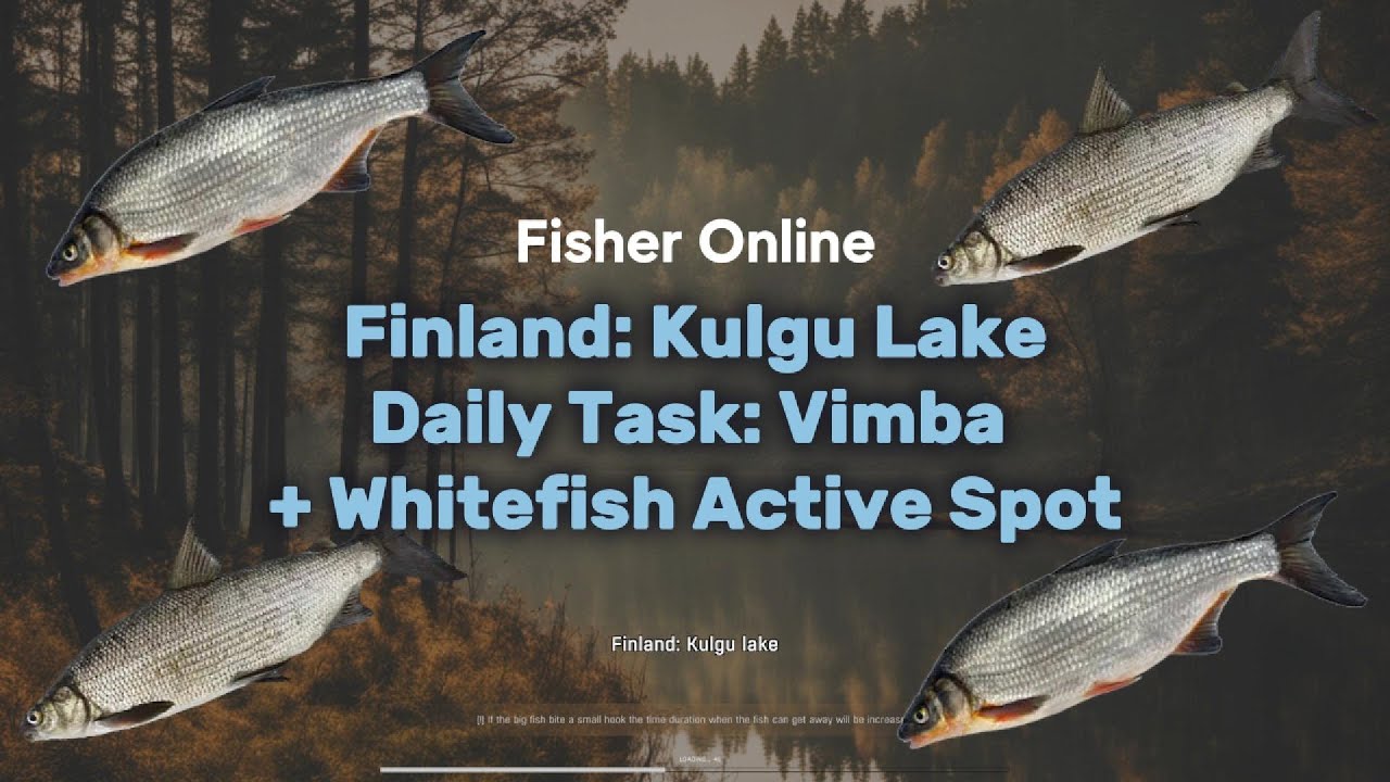 Daily Task: Vimba Spot in Finland: Kulgu Lake | Whitefish Deed Ramp up | Fisher Online