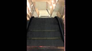 20160107 香港 電扶梯(尖沙嘴)
