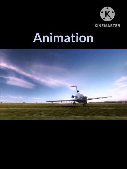 Delta 1141 crash Animation vs Real Life #planecrash #deltaairlines