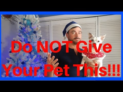 ვიდეო: Holiday Pet Safety Hazard: Tinsel