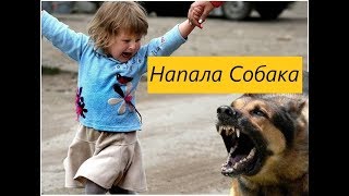 На ребенка напала собака))) кричу и отбиваюсь)) На ребенка напала собака))) кричу и отбиваюсь))