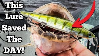 First Time Fishing Green Bay Walleye? Here's What Finally Worked!