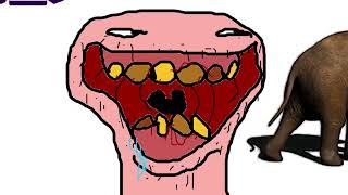 average youtube content 2: the return
