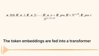 Unifying Multimodal Learning: The Meta Transformer Revolution