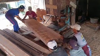 lingkar 100,Dahsyatnya gergaji kayu besar sungguh menakutkan membuat operator kesusahan.woodworking screenshot 1