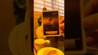 видео: 😳 ОНИ ОЖИДАЛИ, ЧТО ТЫ ОКАЖЕШЬСЯ В 5 КУБКОВ ГРУСТЯЩИМ И СТРАДАТЕЛЬНЫМ! ВМЕСТО ЭТОГО ОНИ ВИДЯТ ТЕБЯ... картинка: 😳 ОНИ ОЖИДАЛИ, ЧТО ТЫ ОКАЖЕШЬСЯ В 5 КУБКОВ ГРУСТЯЩИМ И СТРАДАТЕЛЬНЫМ! ВМЕСТО ЭТОГО ОНИ ВИДЯТ ТЕБЯ...