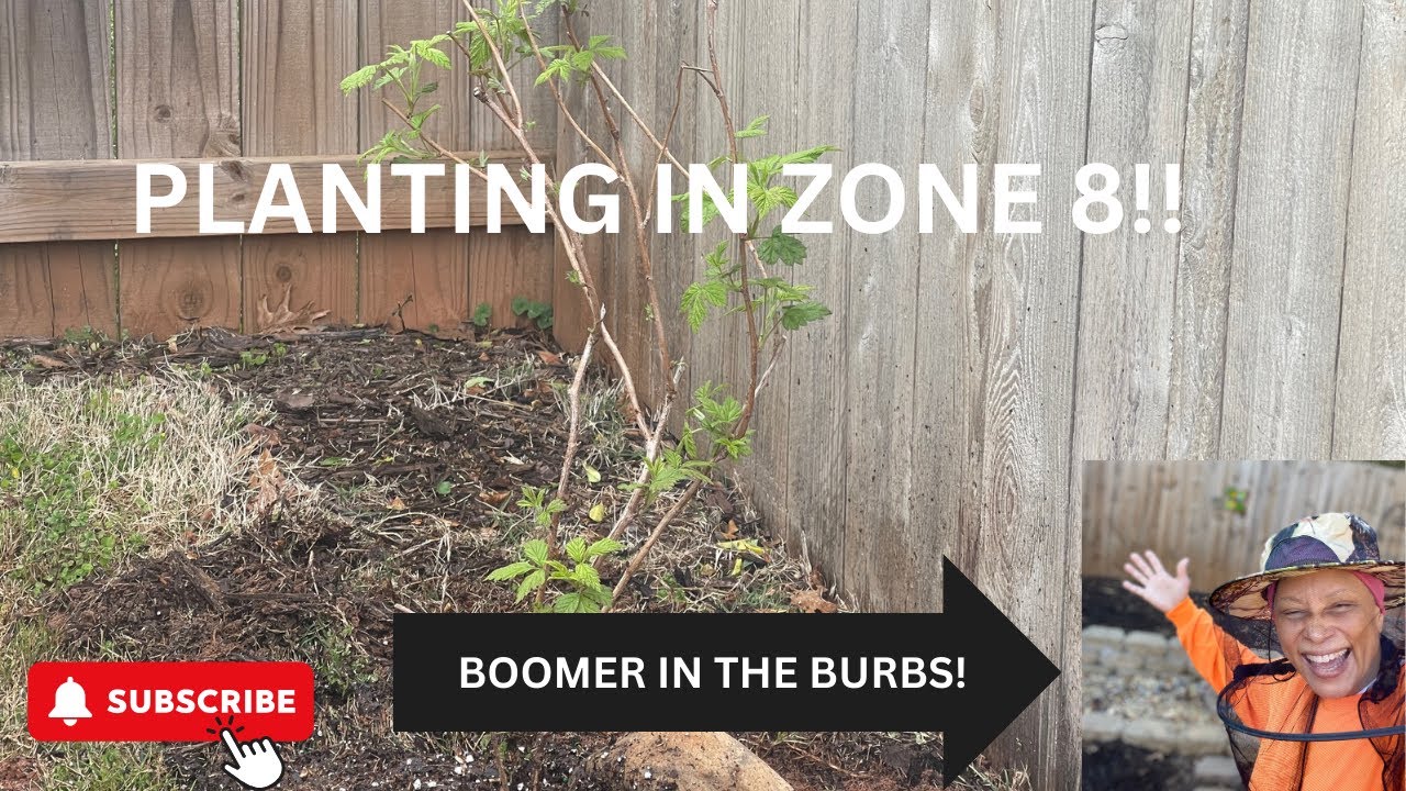 ZONE 8! STARTING SOME FROST TOLERANT PLANTING BEFORE THE LAST FROST