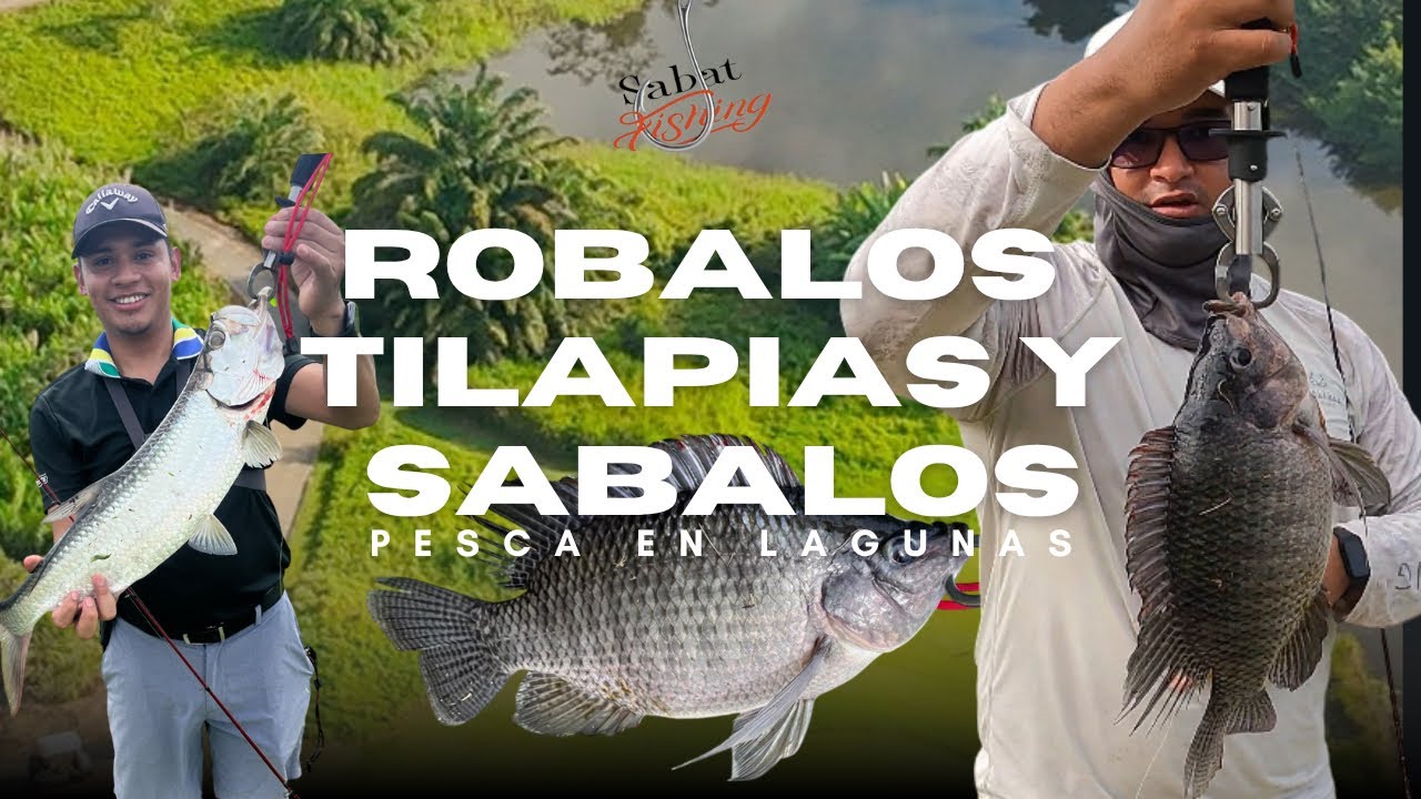 PESCA Multiespecies ÉPICA en HONDURAS || Sábalos, Róbalos y Tilapias en Laguna