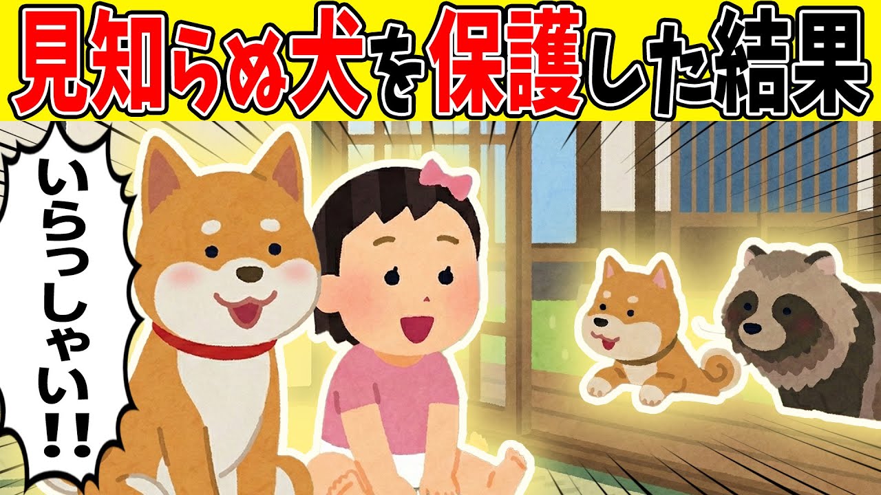 【奇跡】イヌ「お帰り‼」見知らぬ犬が玄関で雨宿りしていたので保護→まさかの展開で涙腺崩壊【ゆっくり】