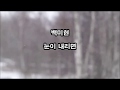 백미현 - 눈이 내리면 (1990) kpop 韓國歌謠