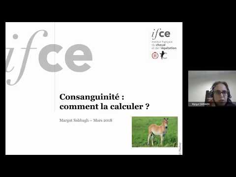 Vidéo: Comment écrire la consanguinité ?