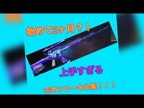 始めて2ヶ月？！アイフォン荒野行動16オンリーキル集！