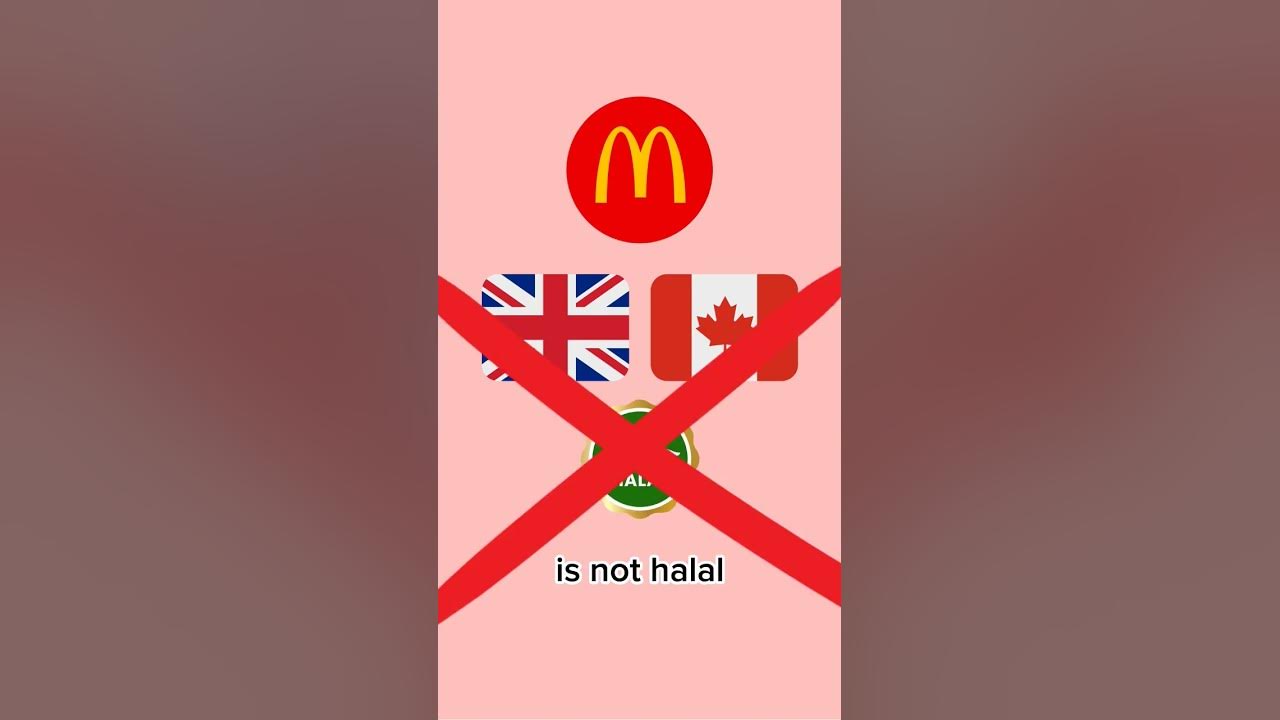 is-mcdonald-s-halal-shorts-mcdonalds-halal-youtube