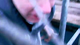 Llomil- Up A Tree Rant Mild Fiverr Gig