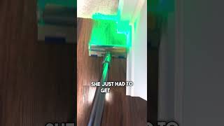 You Missed A Spot In The Corner  