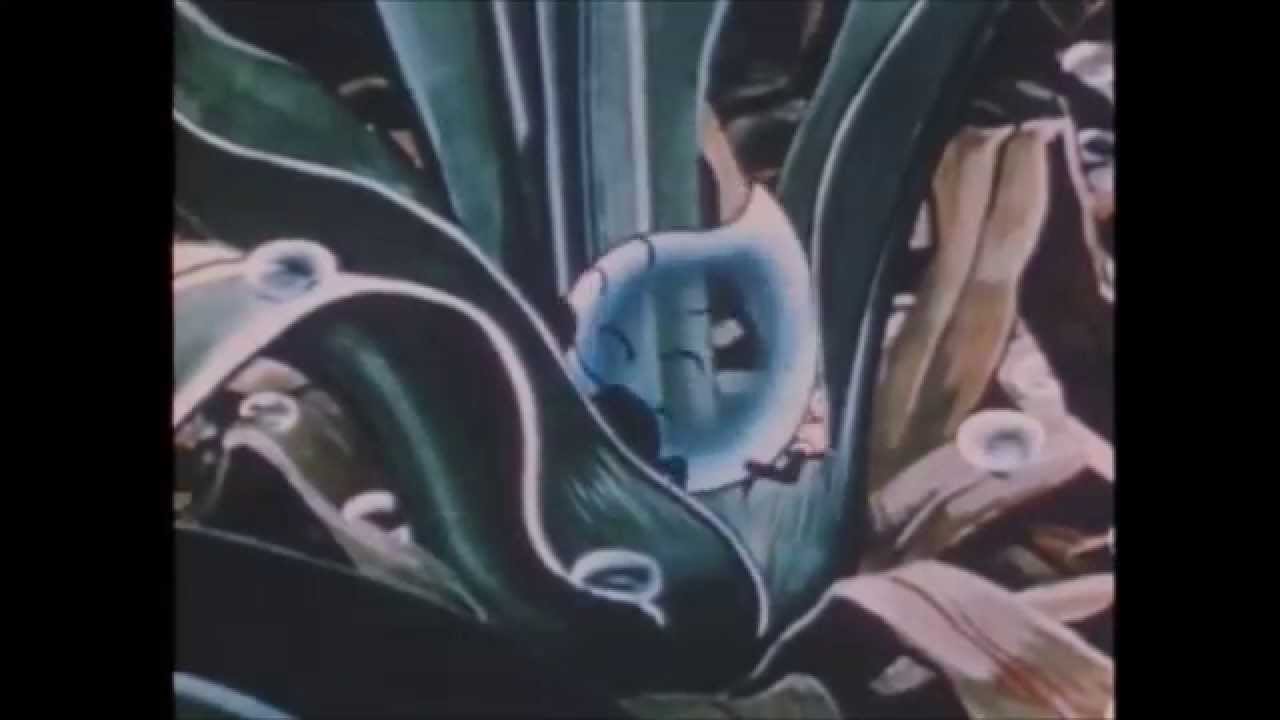 the Adventures Of Junior Raindrop YouTube