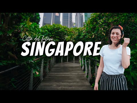 Video: Quale museo è gratuito a Singapore?